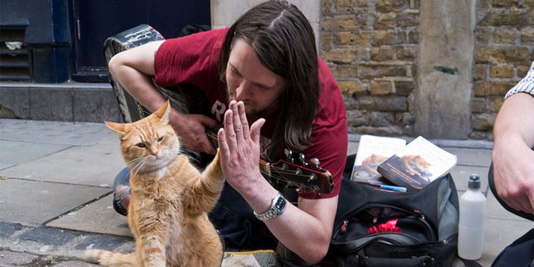 a_streetcat_named_bob.jpg