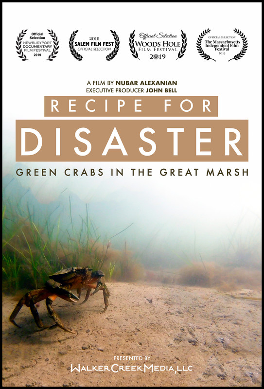 recipe_for_disaster_movie_poster